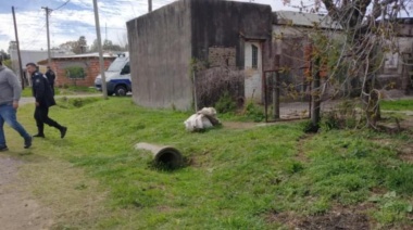 El asesino de una mujer pergaminense falleció en una celda de la Unidad Penal 49 de Junín