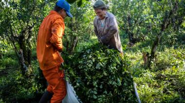 El desarmadero 'al paso' en Junín