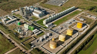 Milei sale a rematar 8 empresas del Estado: El impacto en Provincia