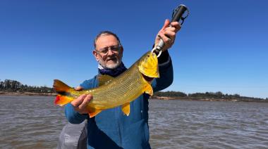 Fiebre dorada en Concordia