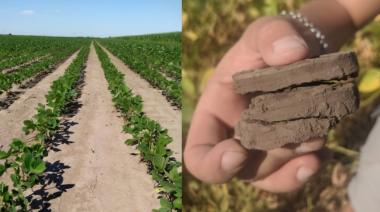 La agroecología como única respuesta