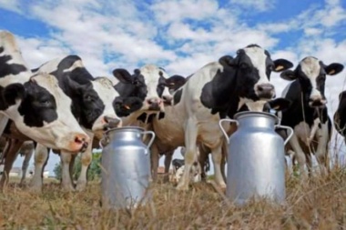 La lechería atraviesa una fuerte crisis con el cierre de 250 tambos este año