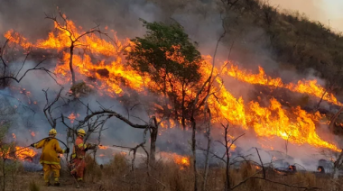 El Senado aprobó la emergencia ambiental por 180 días