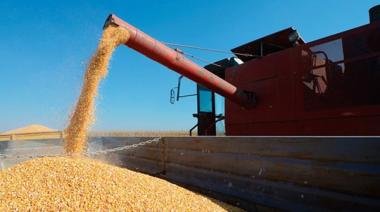 Las exportaciones de granos aumentaron 21% interanual en septiembre
