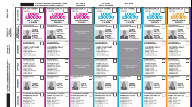 Diputados sancionó la Boleta Única de Papel