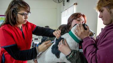 Continúa la campaña gratuita de vacunación contra la rabia en Junín