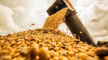 Anticipan que el 65% de los productores no hará inversiones el próximo año