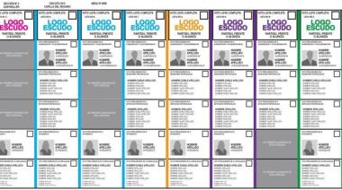 Oficializan en el boletín la forma de la Boleta Única de Papel que aprobó el Congreso