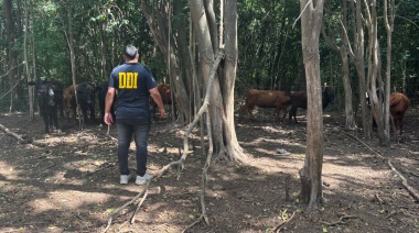 Dos personas aprehendidas por "Abigeato agravado" en la ciudad de Lincoln