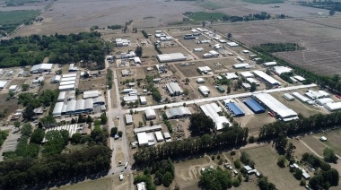 ¿Cuál es el sector productivo de mayor actividad en Junín?