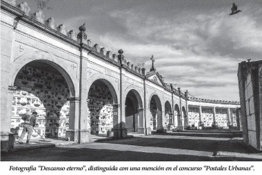 Ojos que ven y sienten