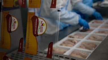 La principal empresa avícola del país está en crisis y peligran 700 puestos laborales