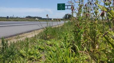 Los peajes aumentaron 1000 por ciento pero no cortan ni el pasto