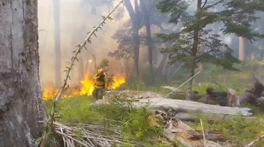 Incendios en Nahuel Huapi: No logran controlar el fuego