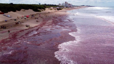 Un manto rojo cubrió el mar entre Mar del Plata y Necochea