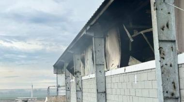 Un incendio quemó parte de la empresa de genética porcina de Ameghino