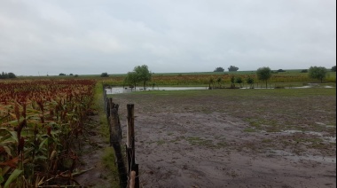 ¿Qué pasó y pasará con el clima agrícola?