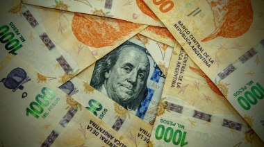 De cuánto fue la devaluación del peso en el primer día del dólar sin cepo