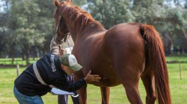 Encefalitis equina: Importante contribución de profesionales del HIGA Junín