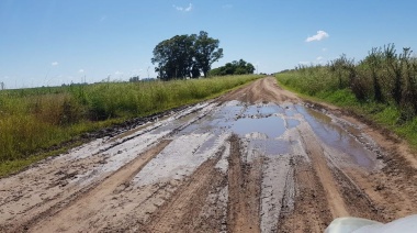 En el barro y a los apurones Petrecca saca otro conejo de la galera