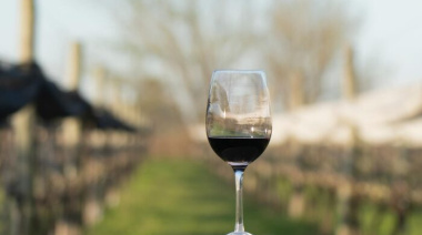 Las Antípodas, el viñedo que convirtió a Junín en un destino para explorar el mundo del vino