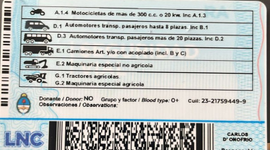 Fue al Juzgado por una infracción y terminó detenido por mostrar una licencia trucha