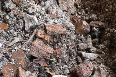 Gestión Petrecca: Ni los vivos, ni los muertos, sin distinción no se ocupa de nada