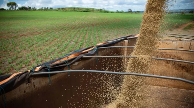 La rebaja de las retenciones recibió el previsible apoyo de los agroexportadores y las provincias productores
