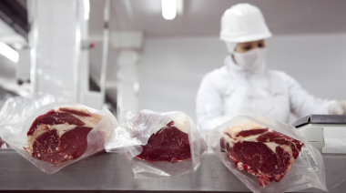 Chile suspendió la importación de carne argentina por una desregulación del Senasa