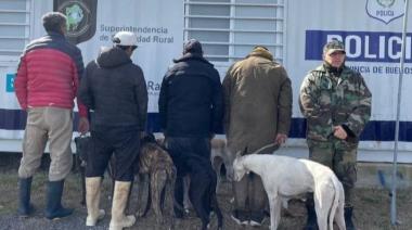 Demoran a cuatro hombres con perros galgos por cazar liebres
