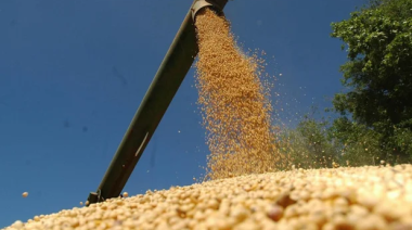 El ingreso de dólares por las agroexportaciones se desplomó 25% durante agosto