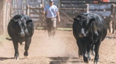 Todo listo para una nueva edición de la Expo Rural de Lincoln