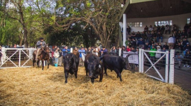 Lincoln se prepara para una nueva Expo Rural