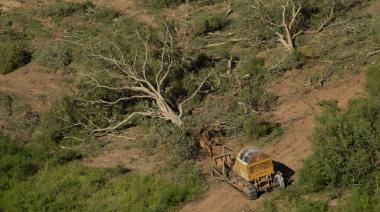 El extractivismo agropecuario en crisis