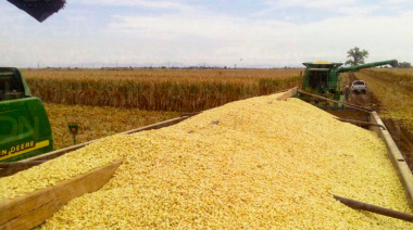 El campo bonaerense descuenta la devaluación