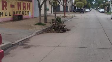 ¿Yo señor? No señor, pues entonces, ¿Quién levanta?