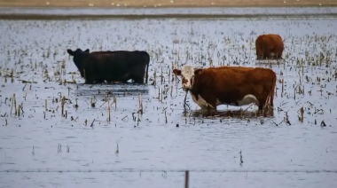 ARBA eximió este año del Inmobiliario Rural a campos de Junín y otros 18 distritos afectados por inundaciones