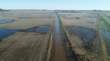 Nación declaró la emergencia agropecuaria en cuatro distritos bonaerenses