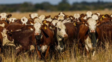 La vuelta de los rodeos