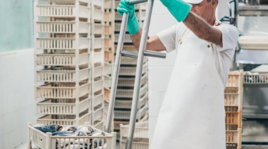 Mar del Plata: cerró una conservera y despidió a unos 40 trabajadores