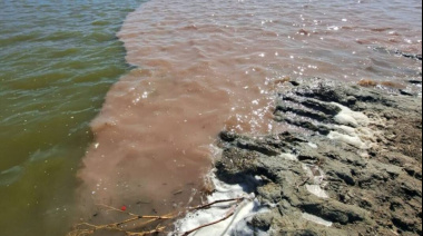 Procesaron al titular de un frigorífico acusado de un grave hecho de contaminación en el Río Salado