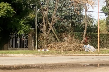 La falta de limpieza en la ciudad sigue provocando reclamos