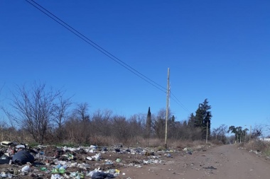Un verdadero basural en la zona urbana