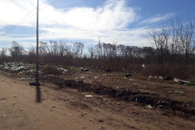 Un verdadero basural en la zona urbana