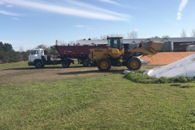 Carnearon una vaca, se llevaron terneros y dañaron bolsones de cereal