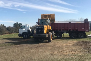 Carnearon una vaca, se llevaron terneros y dañaron bolsones de cereal