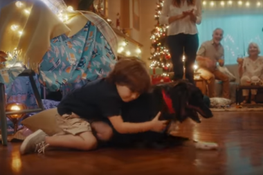 “Regalale una familia”, la campaña para adoptar perros en Navidad
