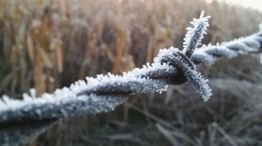 A abrigarse que llega el invierno: Semana de frío intenso con heladas