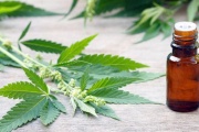 Provincia impulsa el cultivo de cannabis medicinal e incorpora el aceite en hospitales