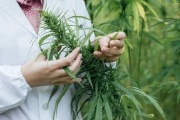 El autocultivo no es para todos